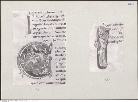 Vorderseite von bh209530_bh209531_recto