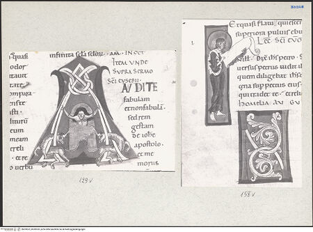 Vorderseite von bh209532_bh209533_recto