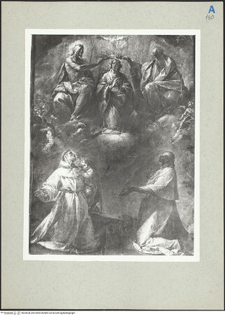 Vorderseite von bh209538_recto