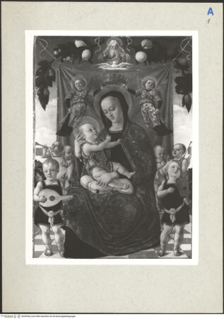 Vorderseite von bh209560_recto