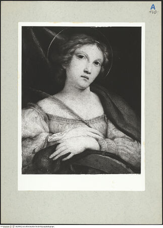 Vorderseite von bh209562_recto