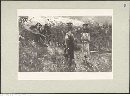 Vorderseite von bh209677_recto