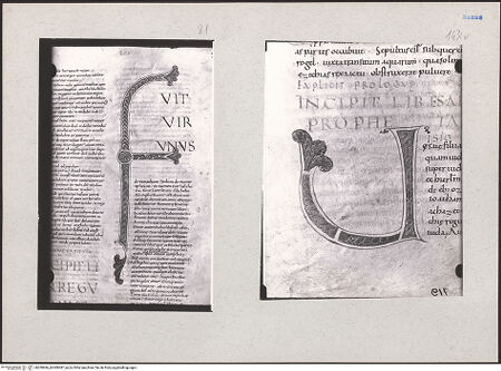 Vorderseite von bh209696_bh209697_recto