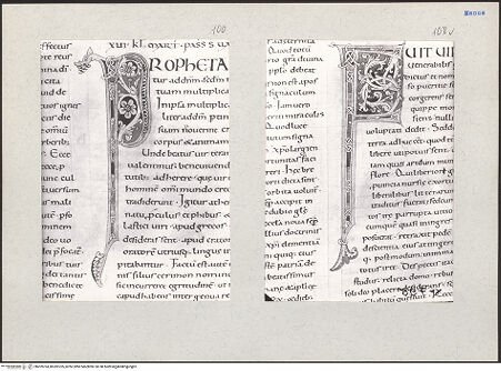 Vorderseite von bh209704_bh209705_recto