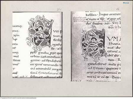 Vorderseite von bh209712_bh209713_recto