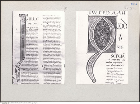 Vorderseite von bh209728_bh209729_recto