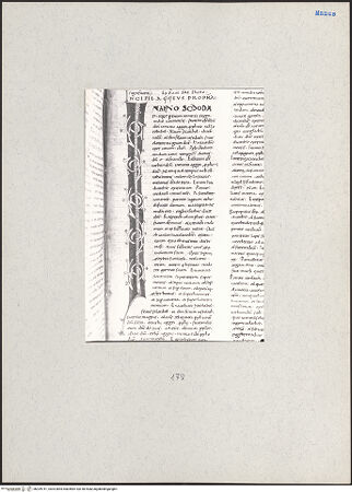 Vorderseite von bh209741_recto