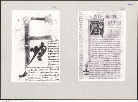 Vorderseite von bh209760_bh209761_recto