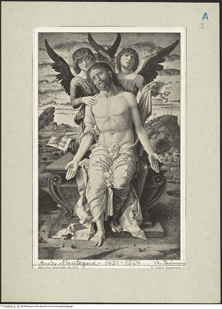 Vorderseite von bh209946_recto