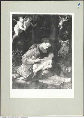 Vorderseite von bh209983_recto