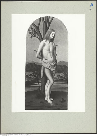 Vorderseite von bh209985_recto