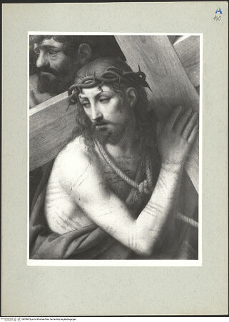 Vorderseite von bh209993_recto