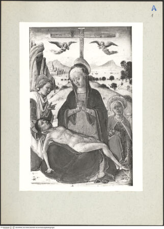 Vorderseite von bh209998_recto