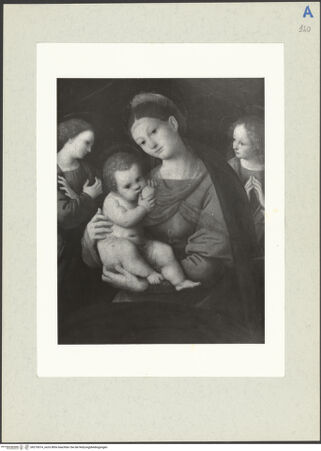 Vorderseite von bh210014_recto