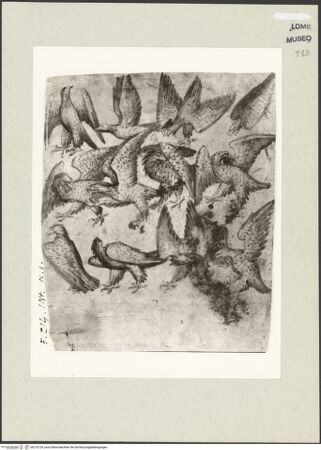 Vorderseite von bh210124_recto