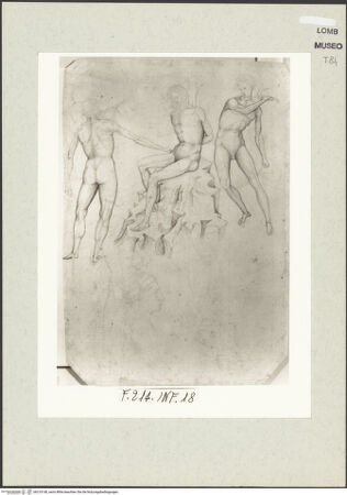 Vorderseite von bh210140_recto