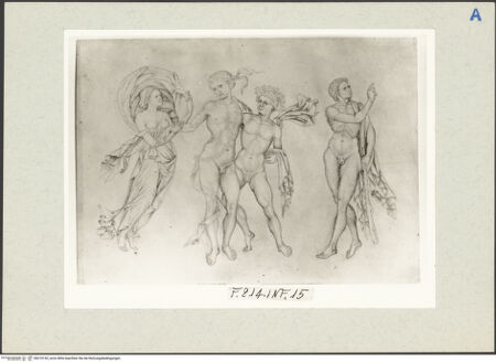 Vorderseite von bh210142_recto