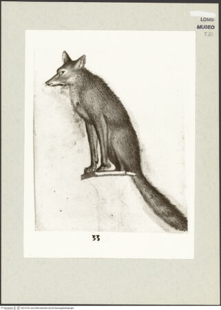 Vorderseite von bh210153_recto