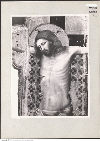 Vorderseite von Hutzel, Max [https://www.deutsche-digitale-bibliothek.de/content/lizenzen/rv-ez/] Kreuz - Christus, Detail (während der Ausstellung in Urbino, Galleria Nazionale) , bh210179_recto. Foto: Hutzel, Max.
