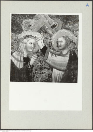 Vorderseite von Hutzel, Max [https://www.deutsche-digitale-bibliothek.de/content/lizenzen/rv-ez/] Szenen aus dem Leben MariasMarienkrönung (Nordwand, oberes Register) - Detail (während der Ausstellung in Urbino, Galleria Nazionale), bh210183_recto. Foto: Hutzel, Max.