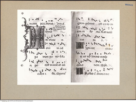 Vorderseite von bh210212_recto