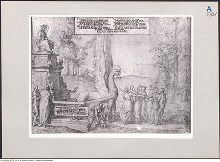 Vorderseite von bh210470_recto