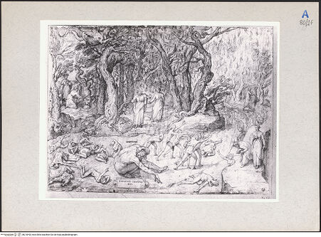 Vorderseite von bh210493_recto