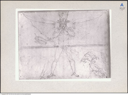 Vorderseite von bh210504_recto