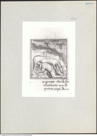 Vorderseite von bh210573_recto