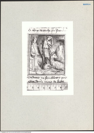 Vorderseite von bh210574_recto