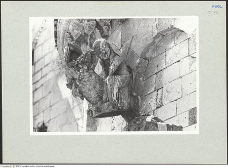 Vorderseite von Schäfer-Schuchardt, Horst [https://www.deutsche-digitale-bibliothek.de/content/lizenzen/rv-ez/] Fenster der Hauptapsis - Detail: Samson, bh211181_recto. Foto: Schäfer-Schuchardt, Horst.