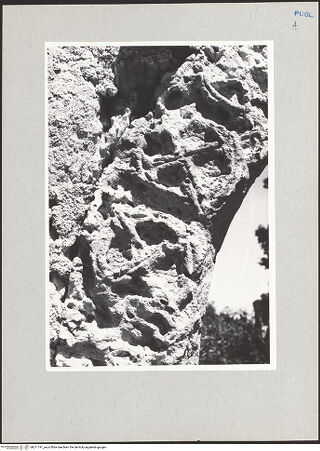 Vorderseite von bh211191_recto