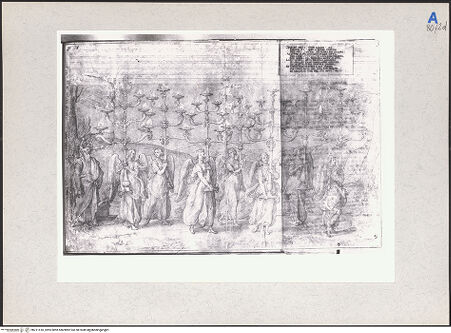 Vorderseite von bh211410_recto