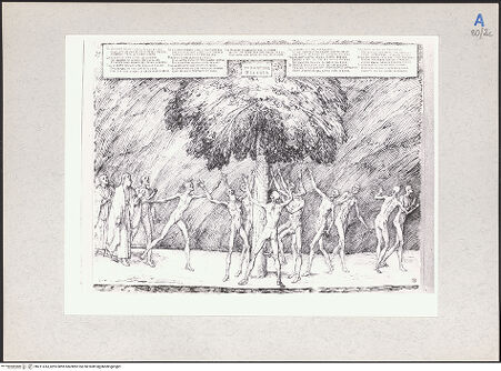 Vorderseite von bh211414_recto