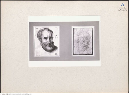 Vorderseite von bh211446_recto