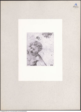 Vorderseite von bh211447_recto