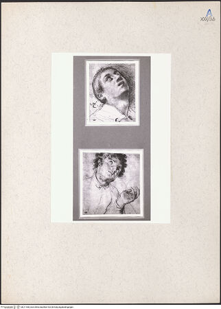 Vorderseite von bh211460_recto