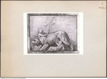 Vorderseite von bh211481_recto