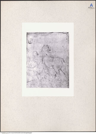 Vorderseite von bh211526_recto