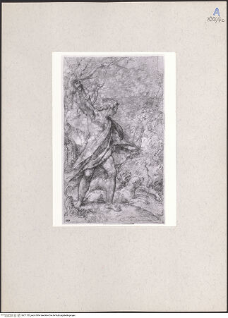 Vorderseite von bh211535_recto