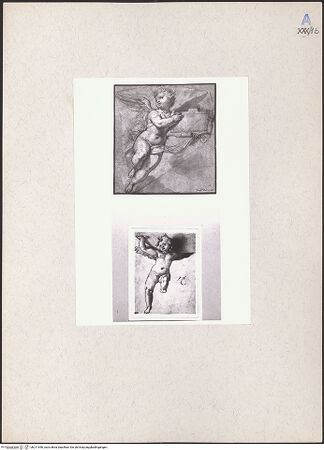 Vorderseite von bh211546_recto