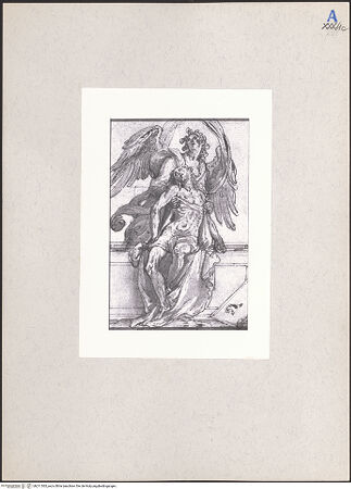 Vorderseite von bh211565_recto