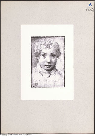 Vorderseite von bh211577_recto