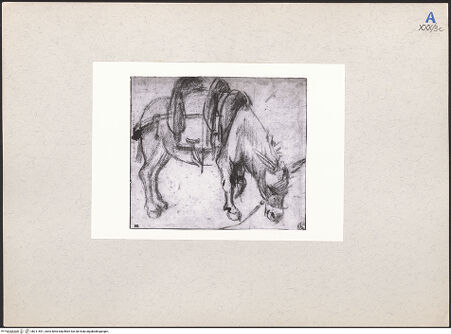 Vorderseite von bh211591_recto