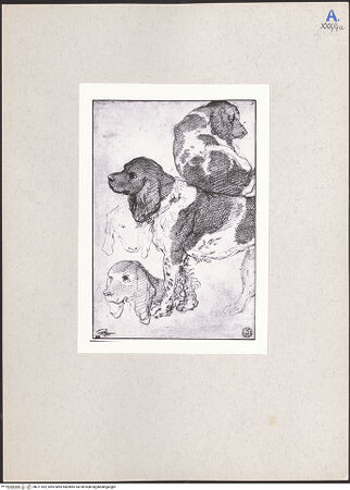 Vorderseite von bh211592_recto