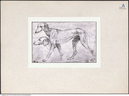 Vorderseite von bh211593_recto