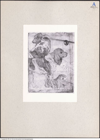 Vorderseite von bh211594_recto