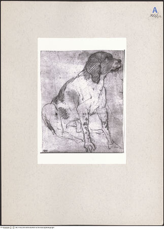 Vorderseite von bh211595_recto