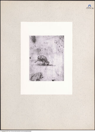 Vorderseite von bh211596_recto