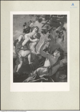 Vorderseite von bh211960_recto